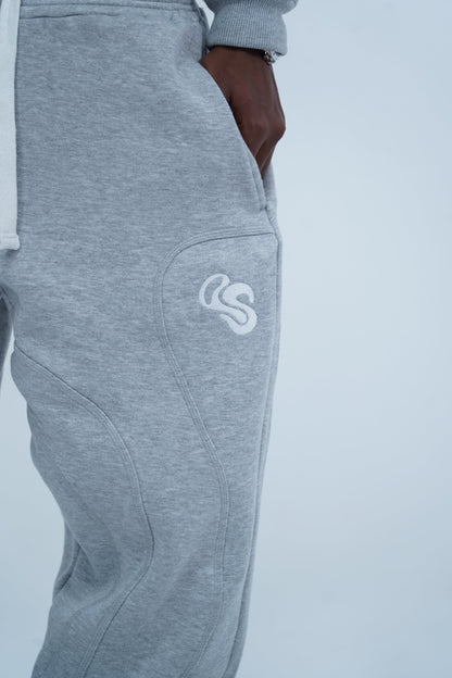 ENSEMBLE GRIS - ASNIC