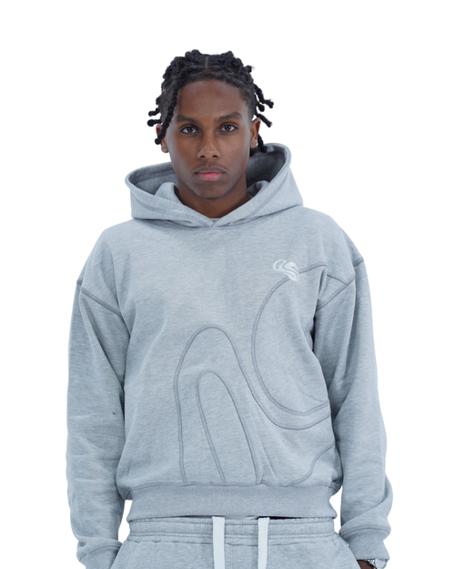 Hoodie Gris - ASNIC
