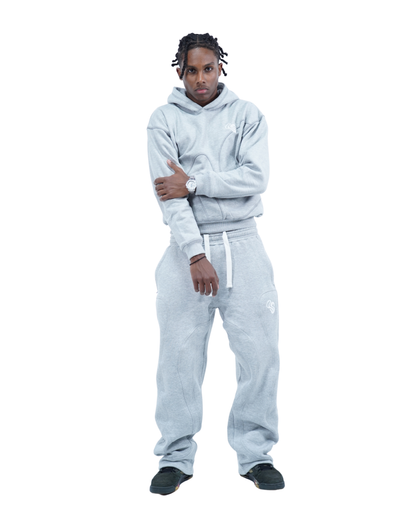 ENSEMBLE GRIS - ASNIC